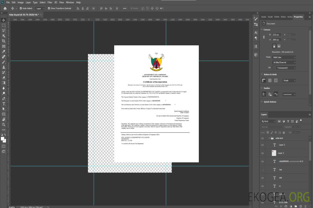 Modèle Word et PDF de certificat d'enregistrement du Cameroun template